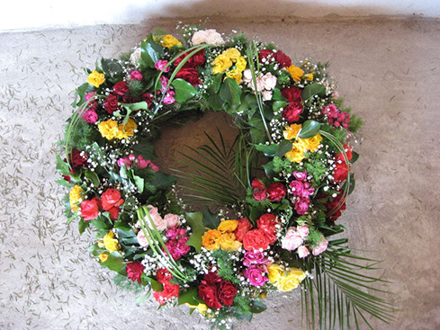 Sympatya futó rózsa jpg