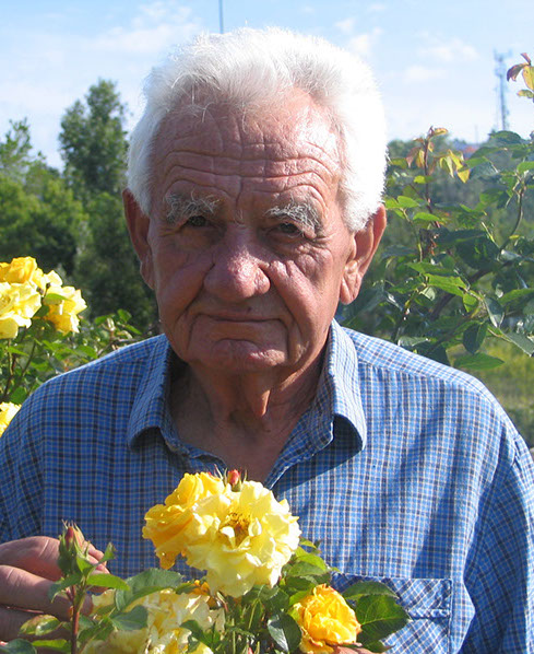 Márk Gergely rózsanemesítő