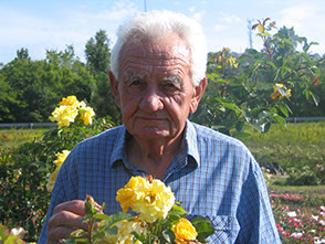 Márk Gergely rózsanemesítő